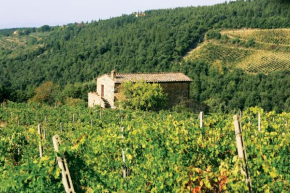 Agriturismo Piemaggino Castellina In Chianti